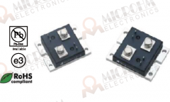 High Power Precison Shunt Resistors Contain Integrated RTD
